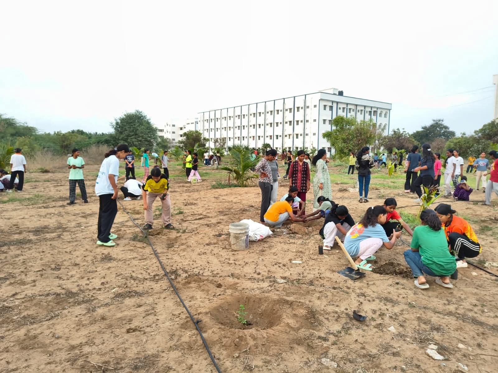 History club activity